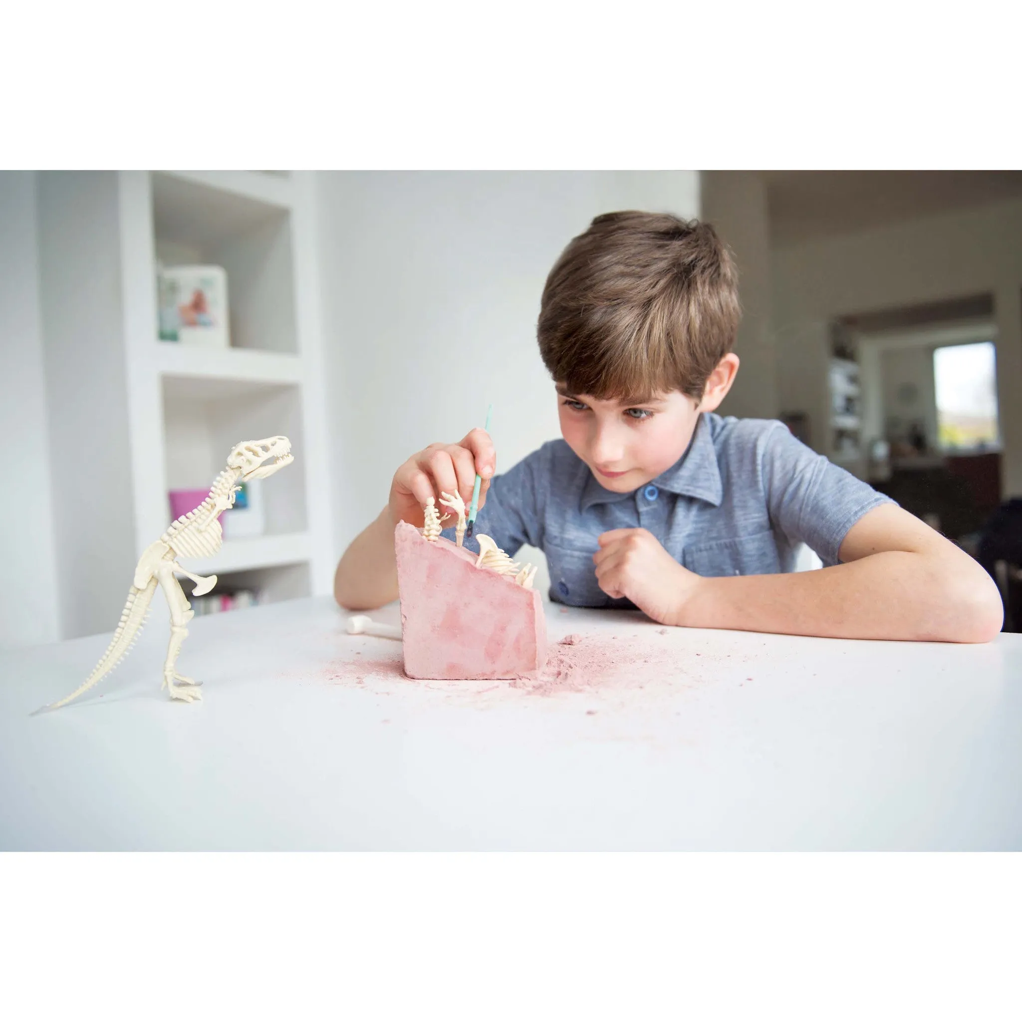 4M Kidz Labs / Tyrannosaurus Rex Kit