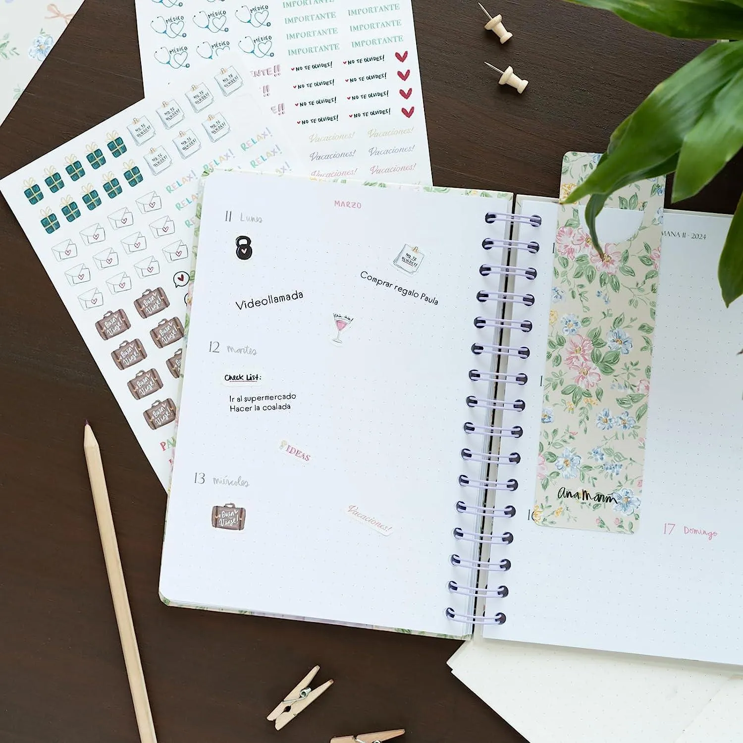 Ana Marin 2023/2024 A5 Academic Diary Week To View 12 Months