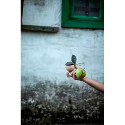 babai Wooden Story From The Nature "Apple & Little Friend"