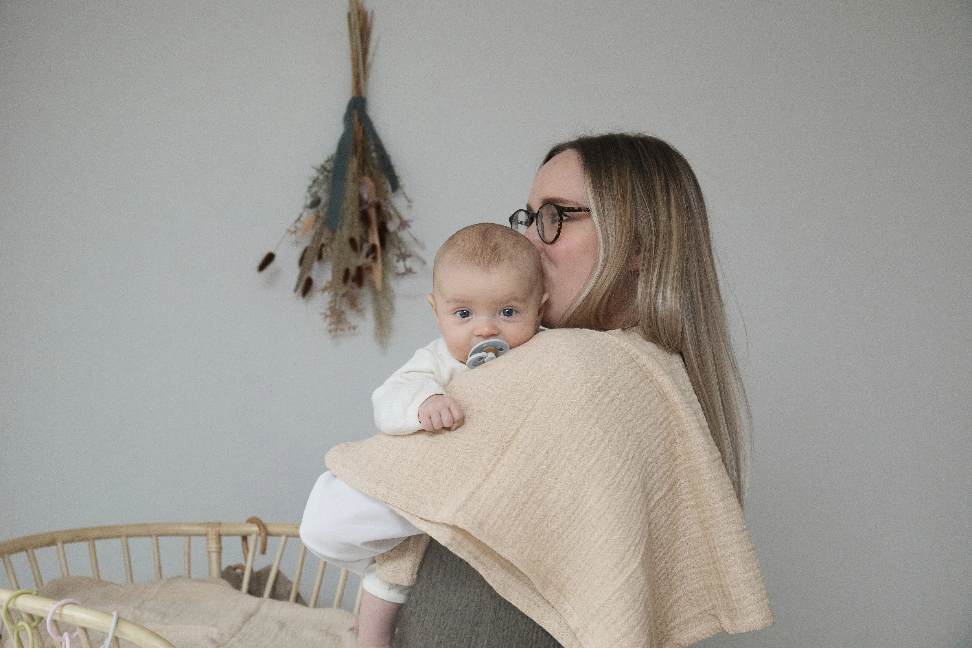 BIBS Pacifier Duo - Haze