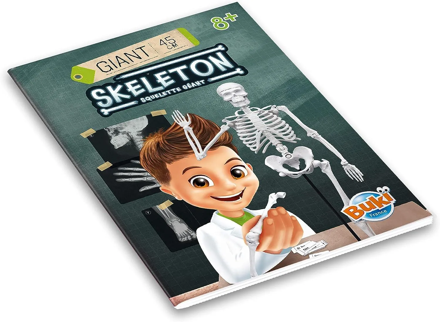 BUKI France Educational Skeleton 45cm
