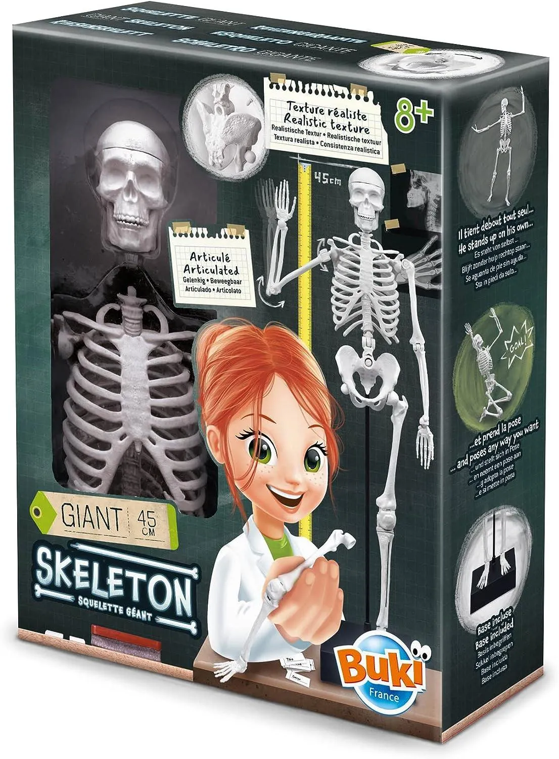 BUKI France Educational Skeleton 45cm