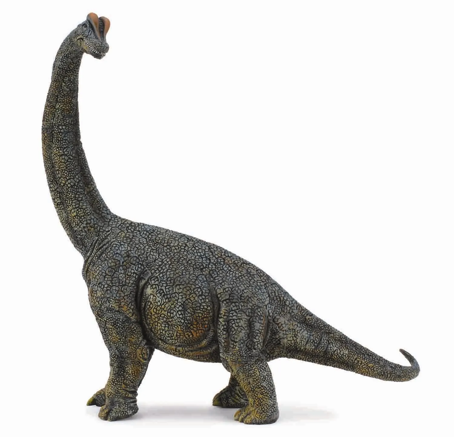 Collecta Brachiosaurus Deluxe 1:40 Figure