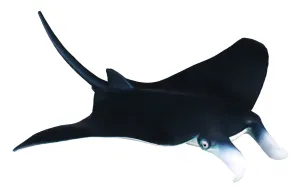 Collecta Manta Ray Figure (Red)