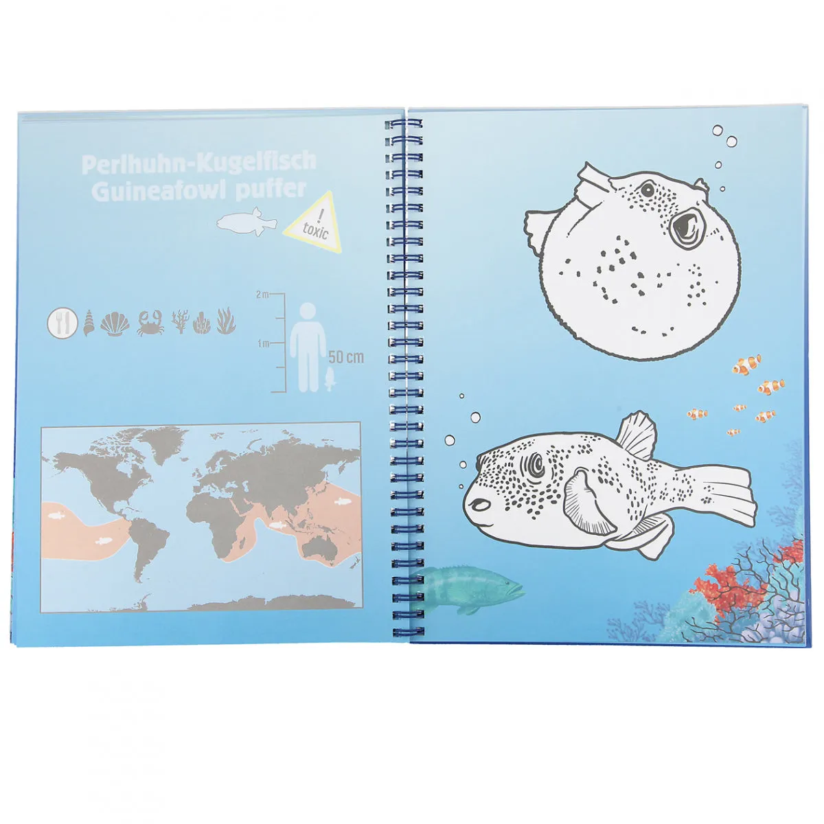 Depesche Dino World Colouring Book Set Underwater
