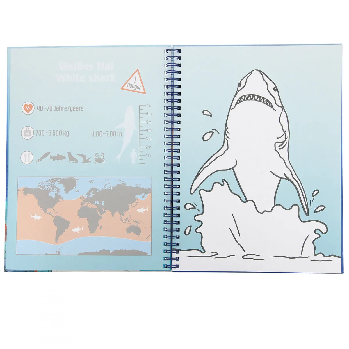 Depesche Dino World Colouring Book Set Underwater