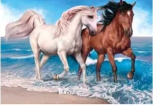 Diamond Art Beach Horses 30cm X 40cm
