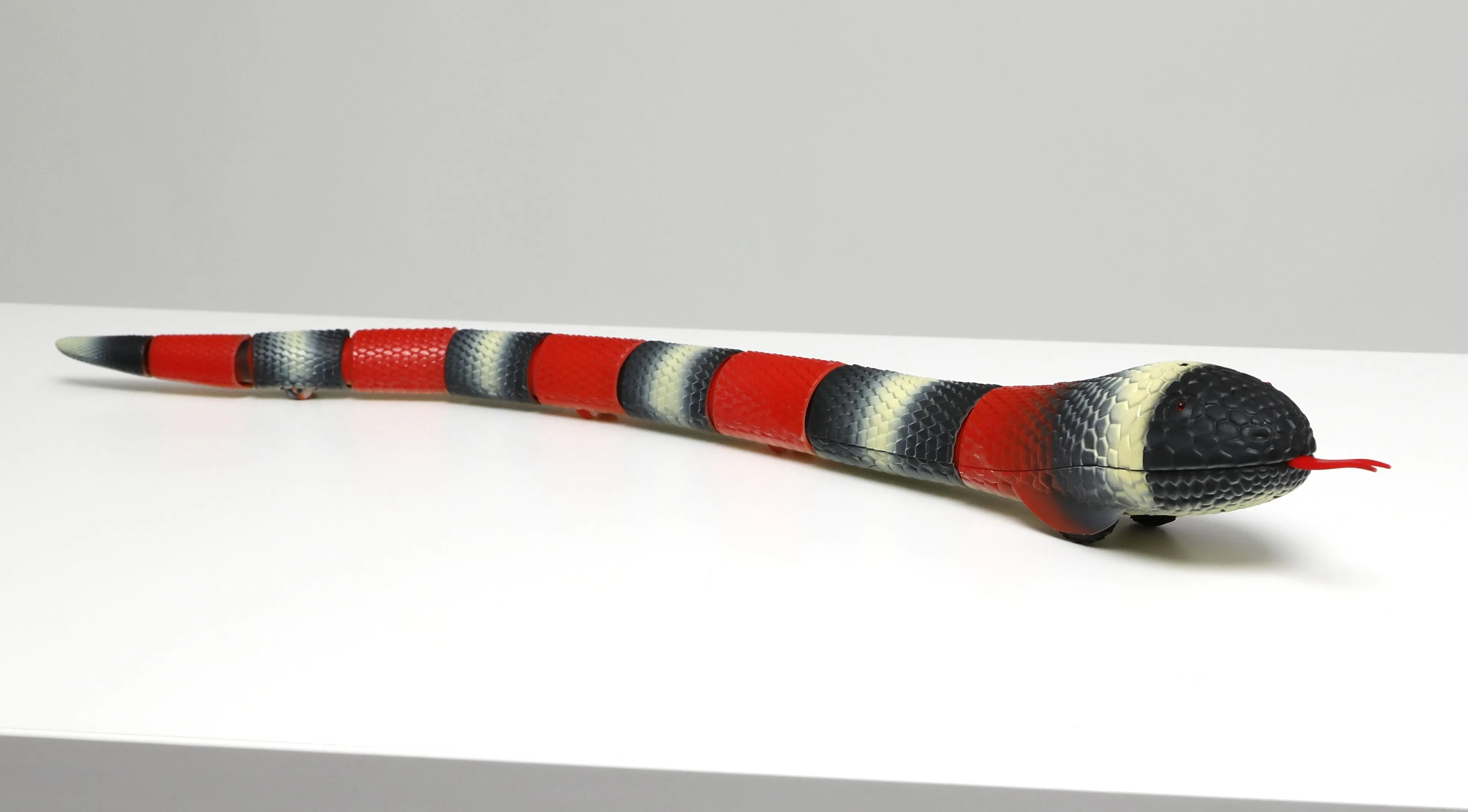 Discovery Kingsnake Remote Control Pet Creature
