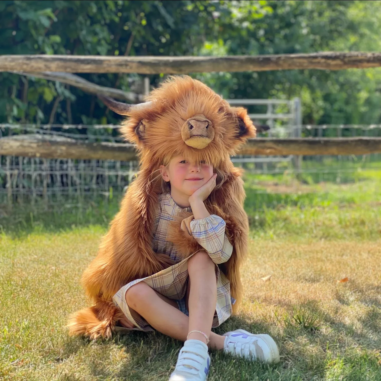 Disguise | Wild & Soft | Highland Cow