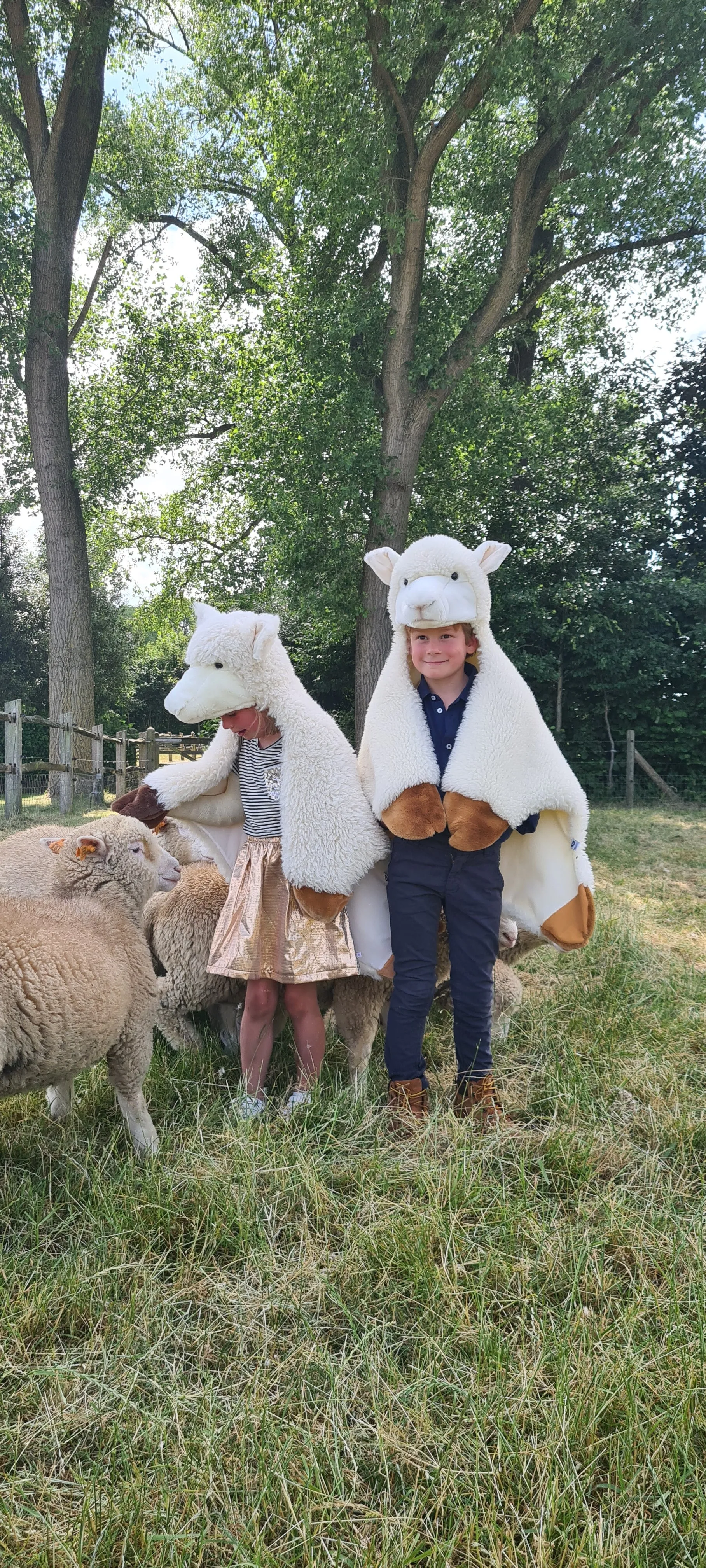 Disguise | Wild & Soft | Sheep