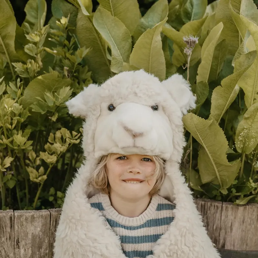Disguise | Wild & Soft | Sheep