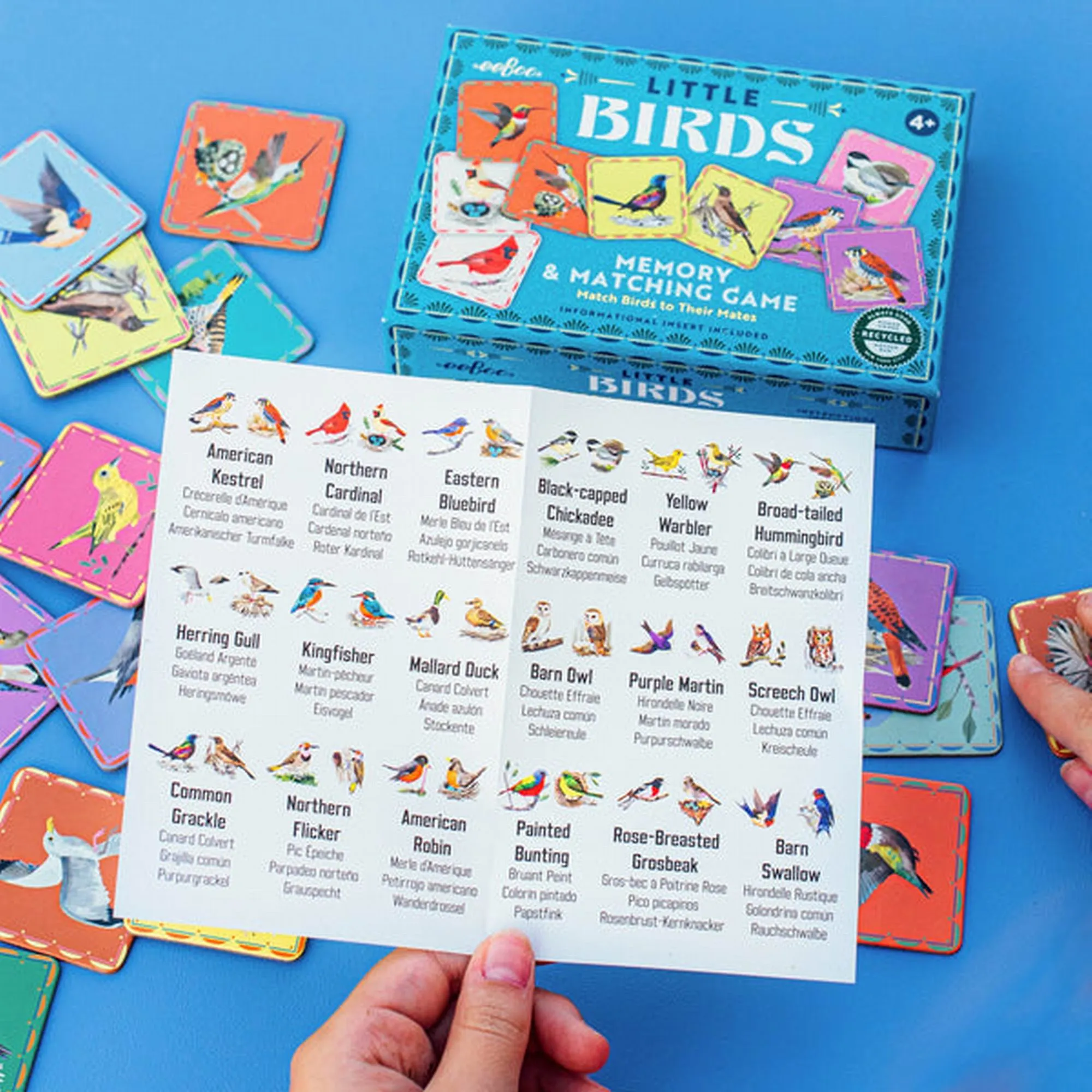 eeBoo Birds Little Matching Game
