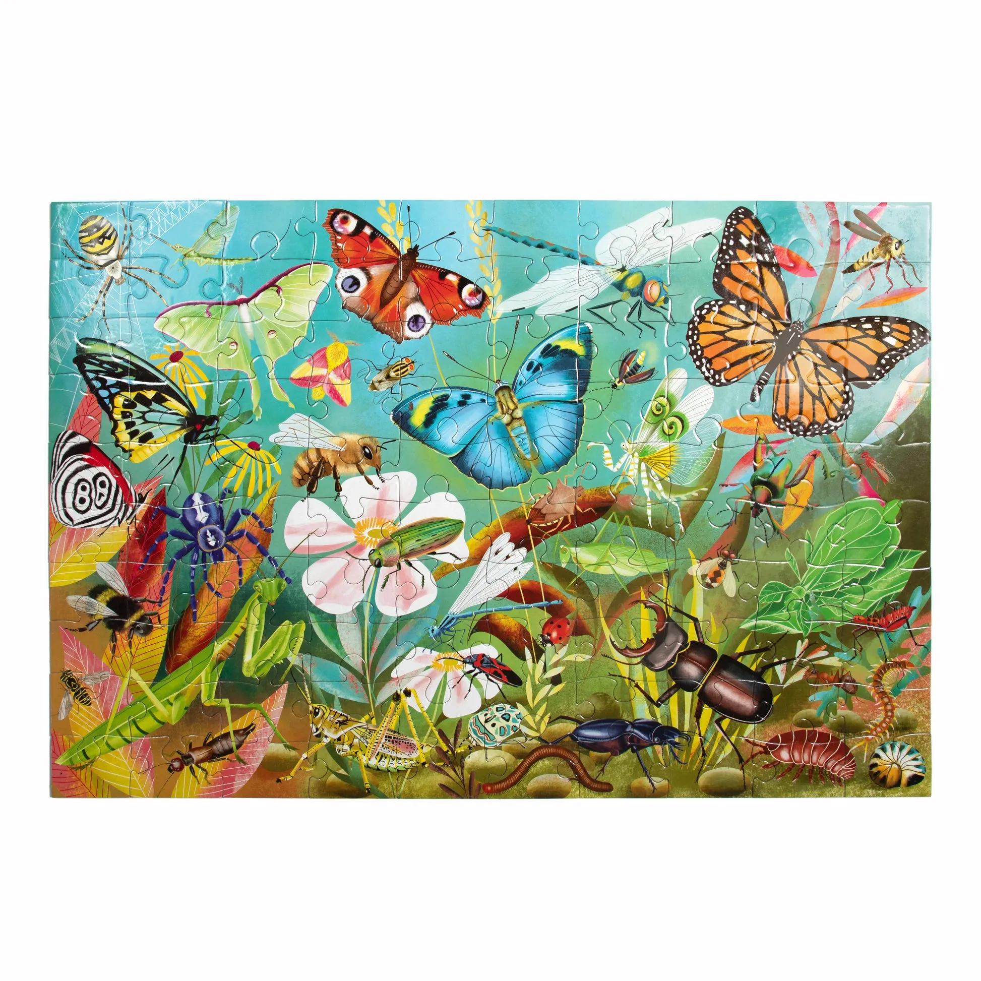 eeBoo Love of Bugs 100pc Puzzle