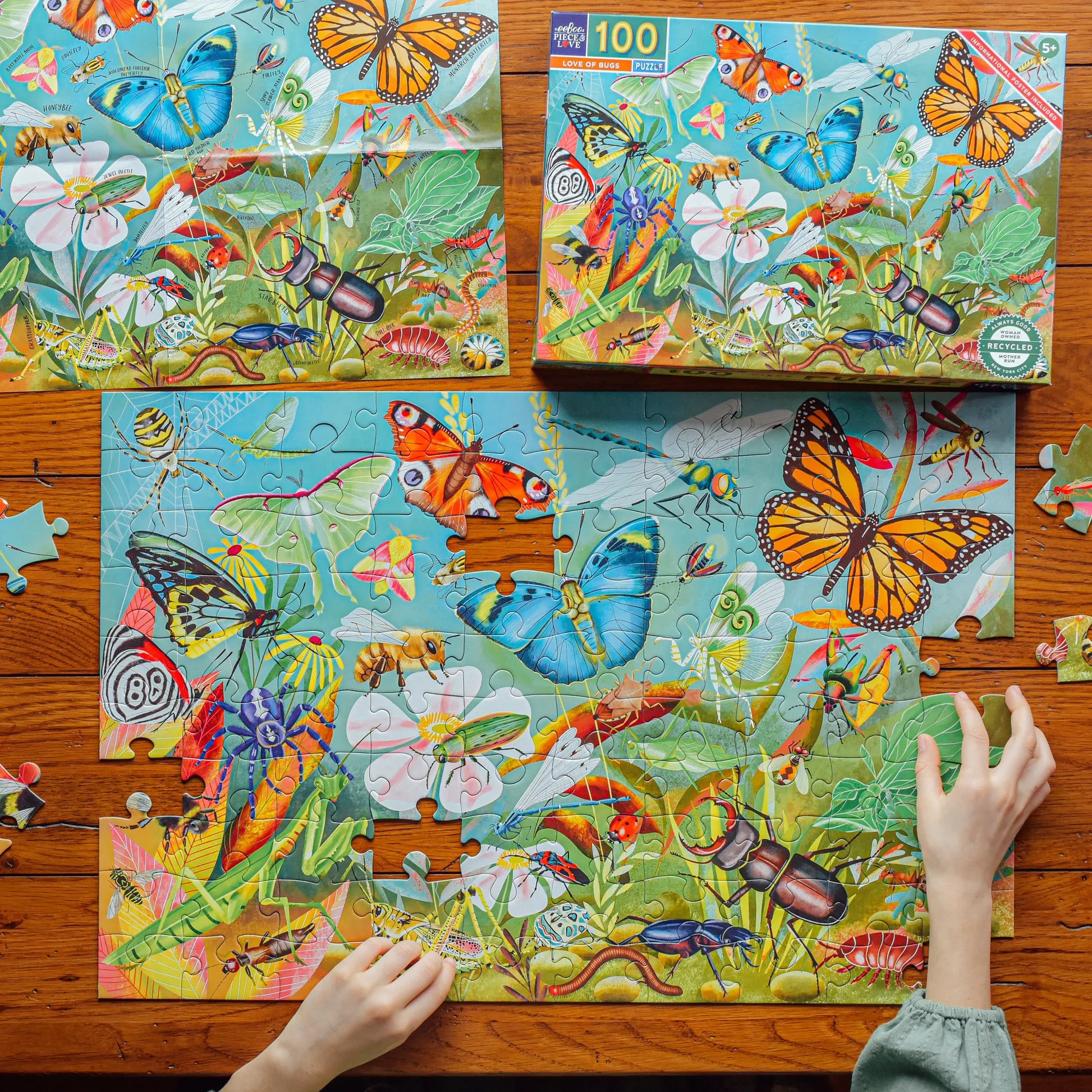 eeBoo Love of Bugs 100pc Puzzle