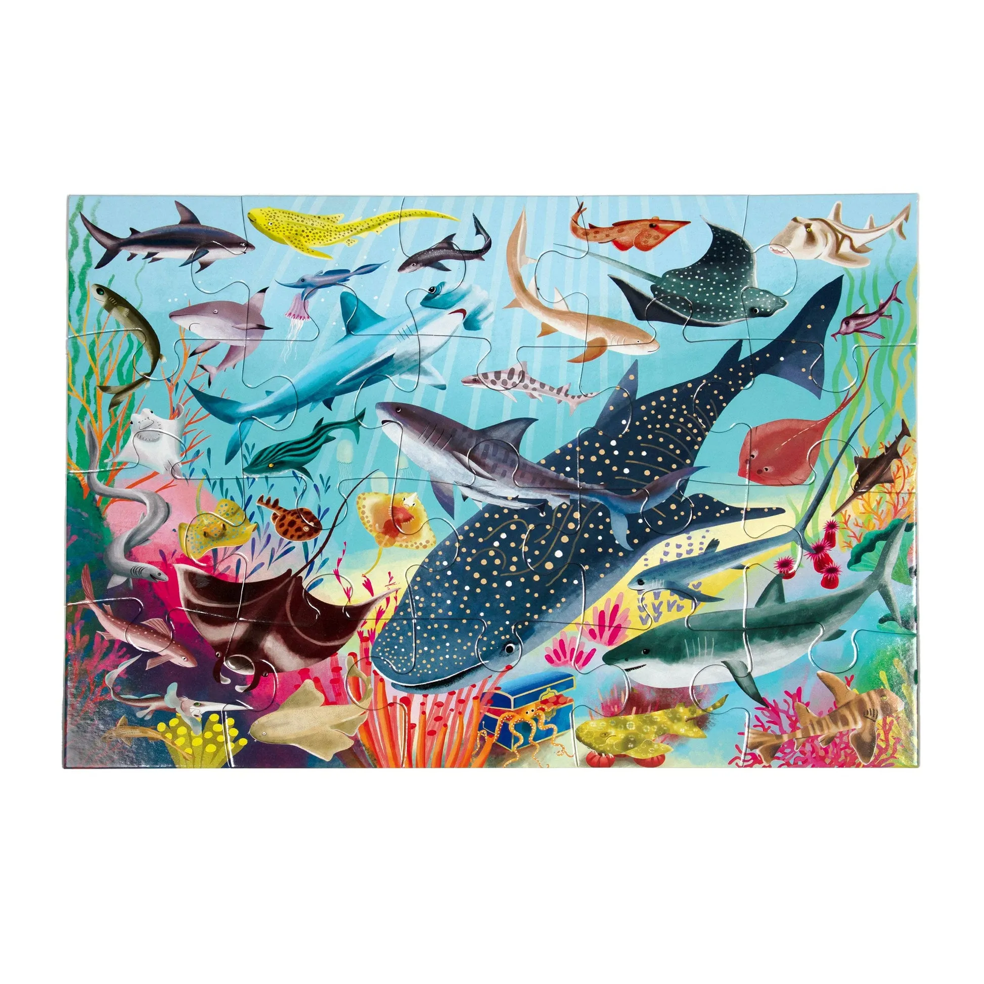 eeBoo Sharks and Friends 20pc Puzzle