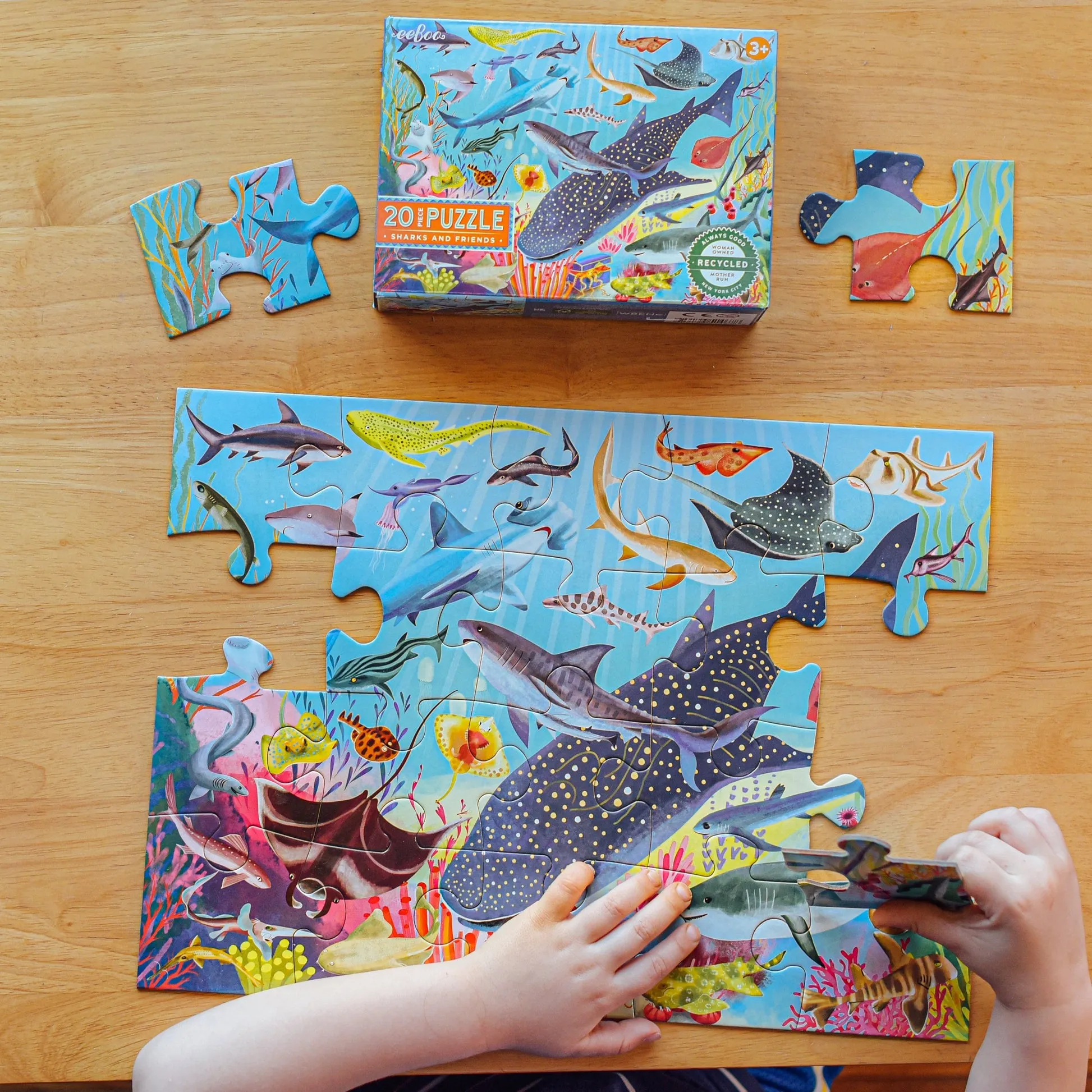 eeBoo Sharks and Friends 20pc Puzzle