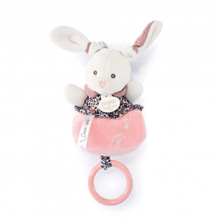 Histoire d'Ours Bunny Music Box