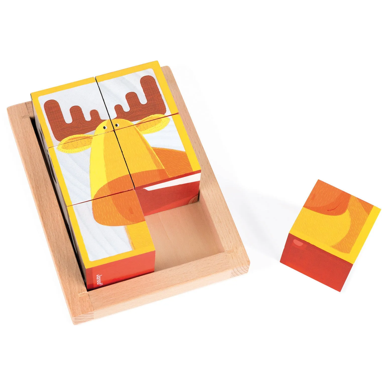 Janod 6 Forest Blocks in Wooden Box