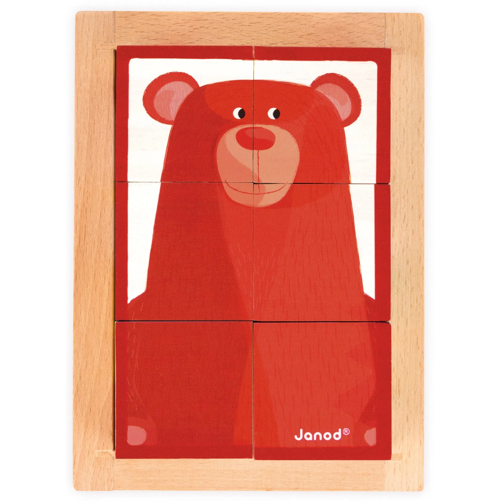 Janod 6 Forest Blocks in Wooden Box