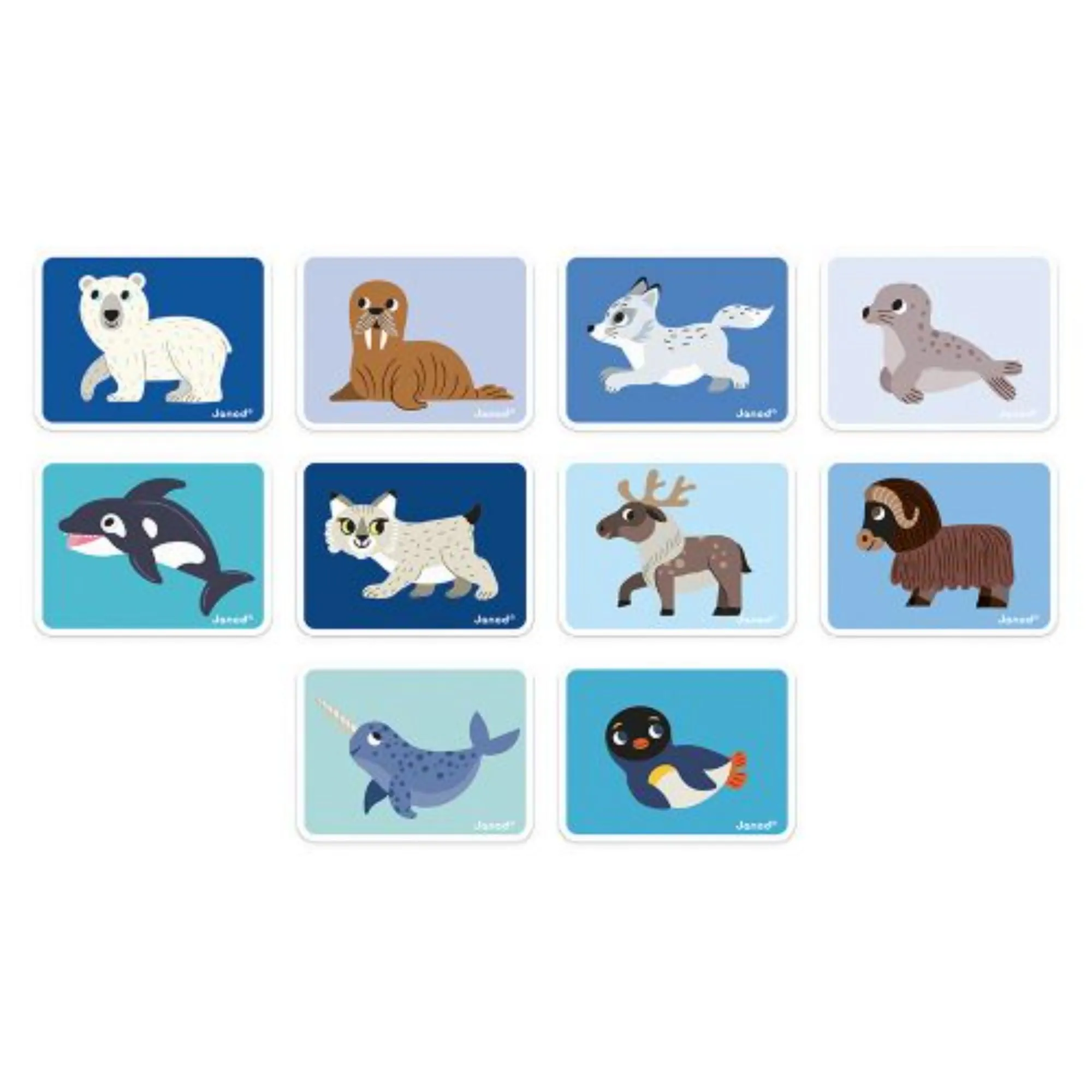 Janod Magneti’book Polar Animals