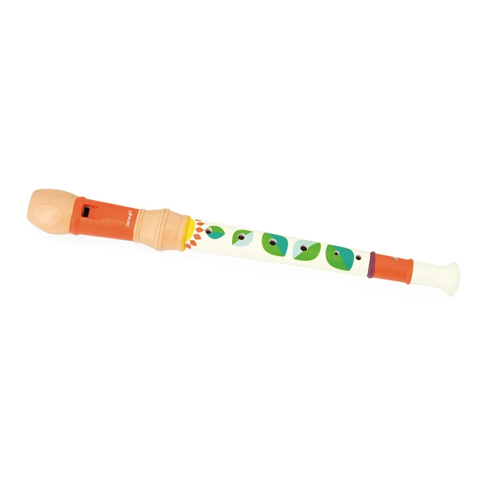 Janod Musical Set