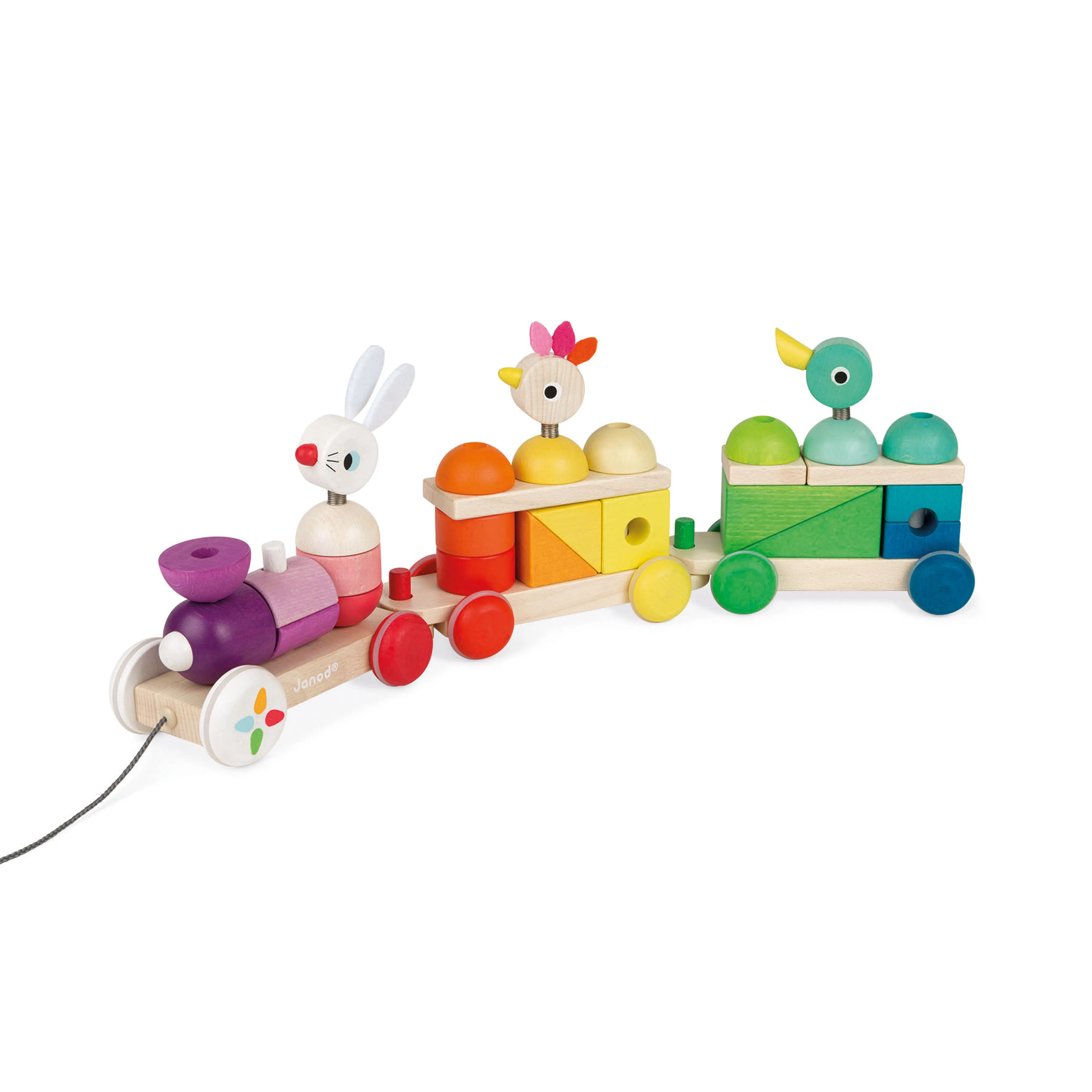 Janod Zigolos Giant Multicolour Train
