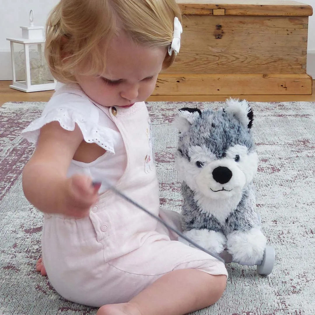 Little Bird Told Me - Pull-Along Dog - Mishka (6m )