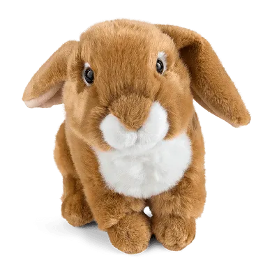 LIVING NATURE Light Brown French Lop-Eared Rabbit 22cm Plush