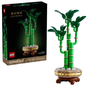 Lucky Bamboo