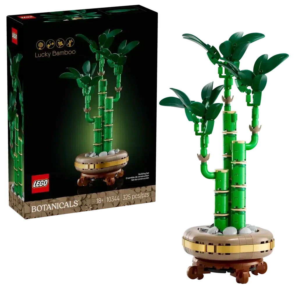Lucky Bamboo