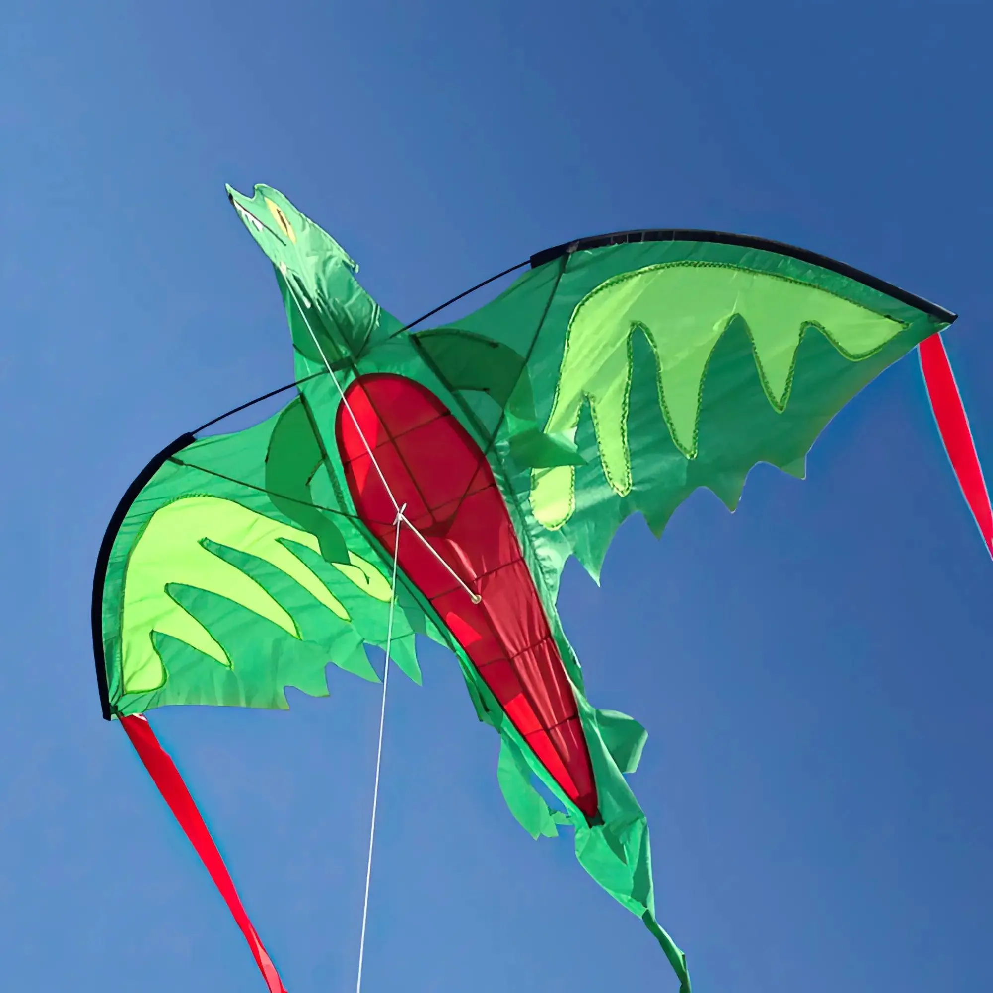 Melissa & Doug 40217 Winged Dragon-Shaped Kite