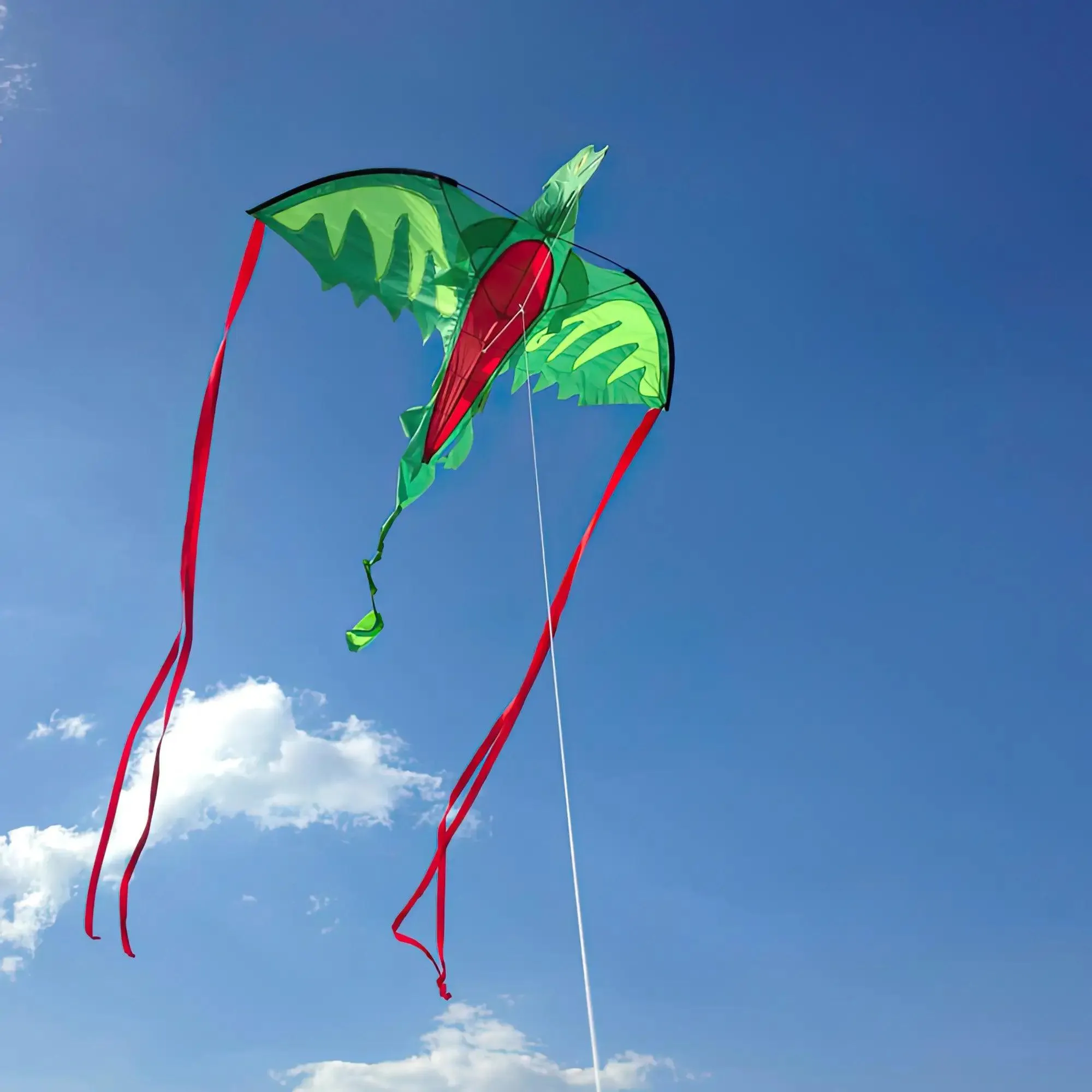 Melissa & Doug 40217 Winged Dragon-Shaped Kite