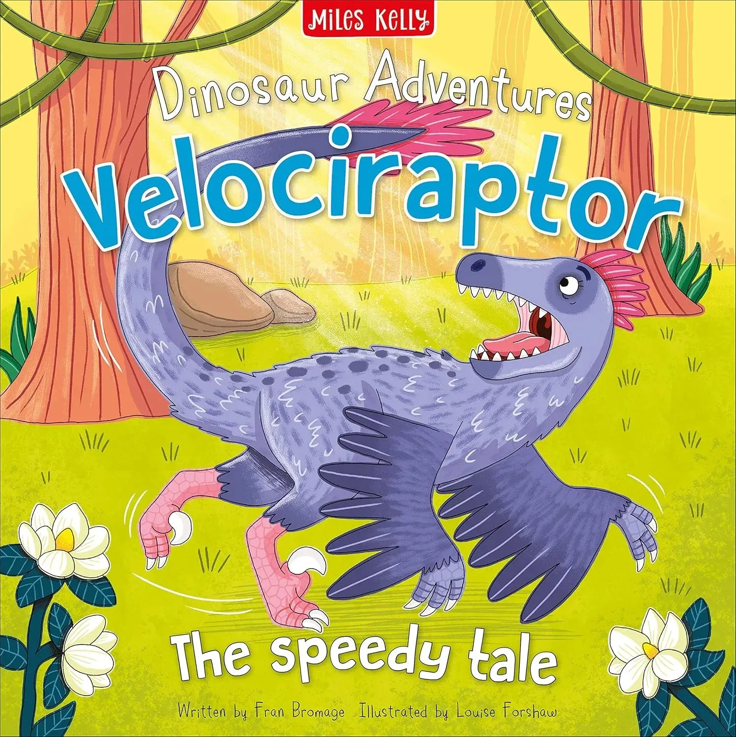 Miles Kelly Dinosaur Adventures Paperback Book Assortment