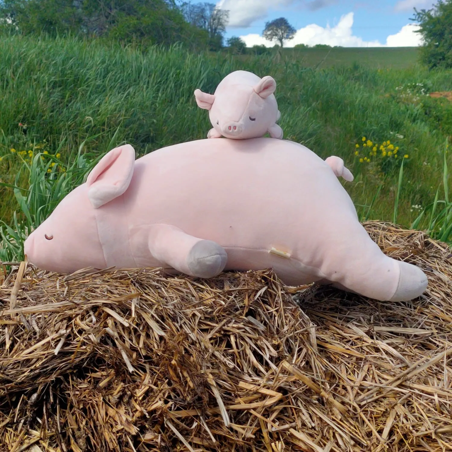 nemu nemu animals Pinkie Pig