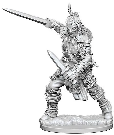 Pathfinder Deep Cuts Unpainted Miniatures Human Male Fighter