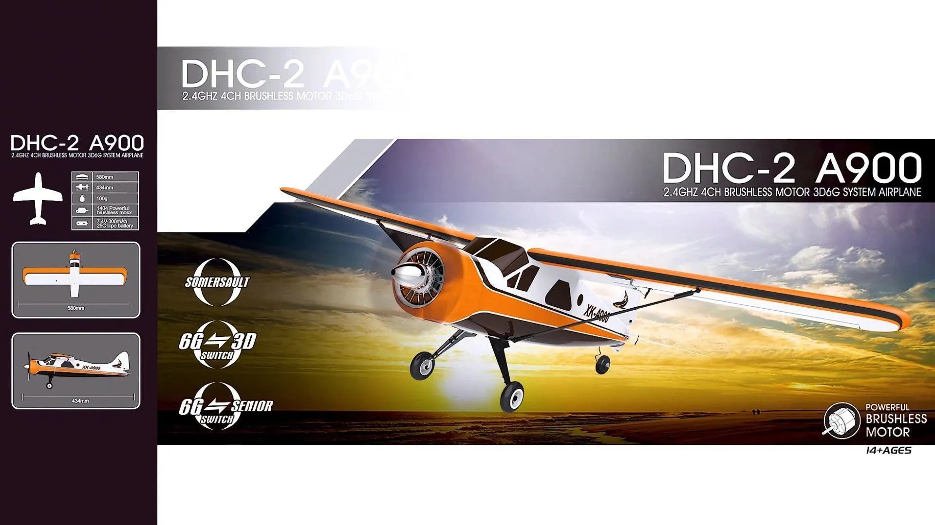 Professional A900 Remote Controlled RC Fixed Wing Airplane Glider Kit