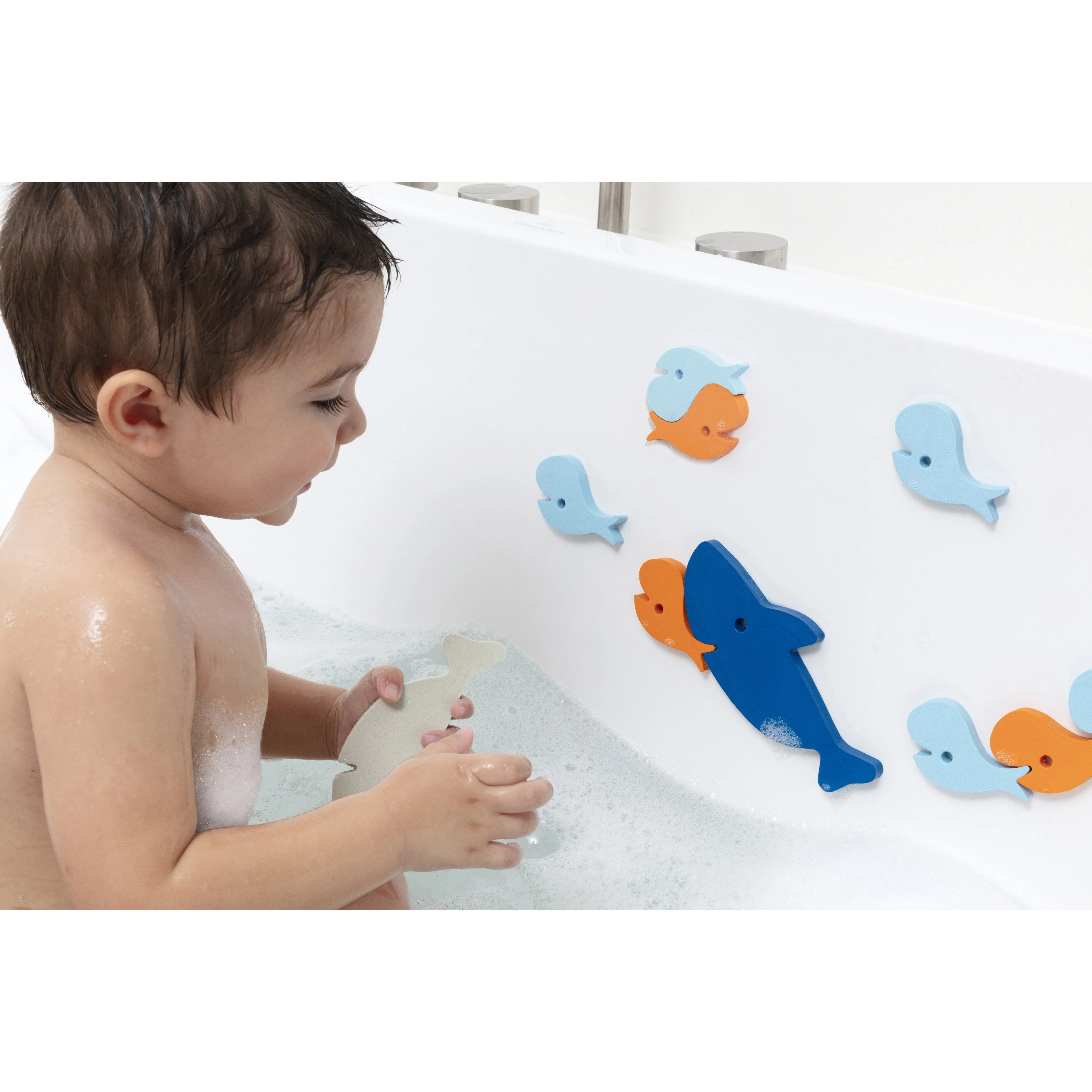 Quut Quutopia Shark Bath Puzzle