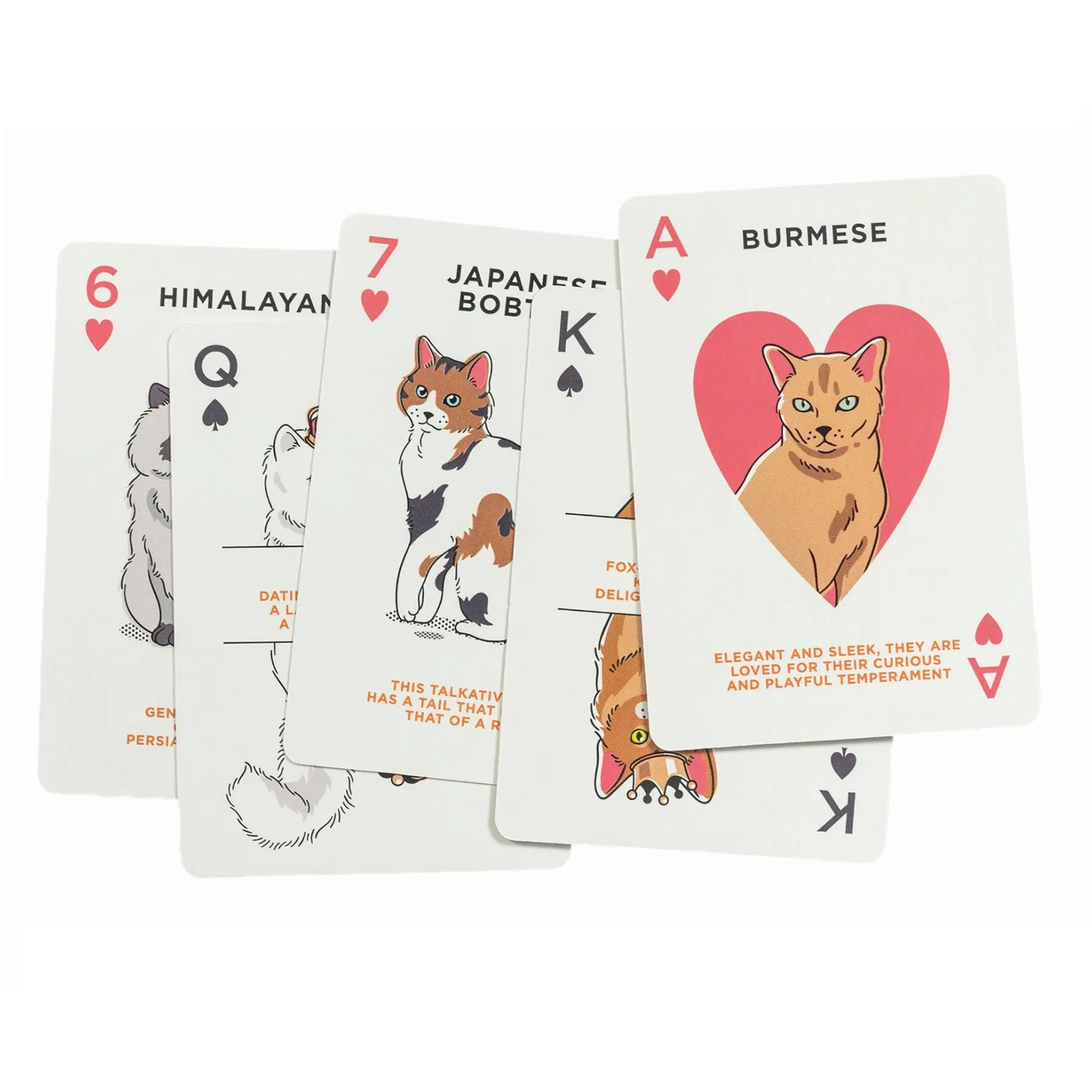 Ridley's Game Cat Lover's Playing Cards