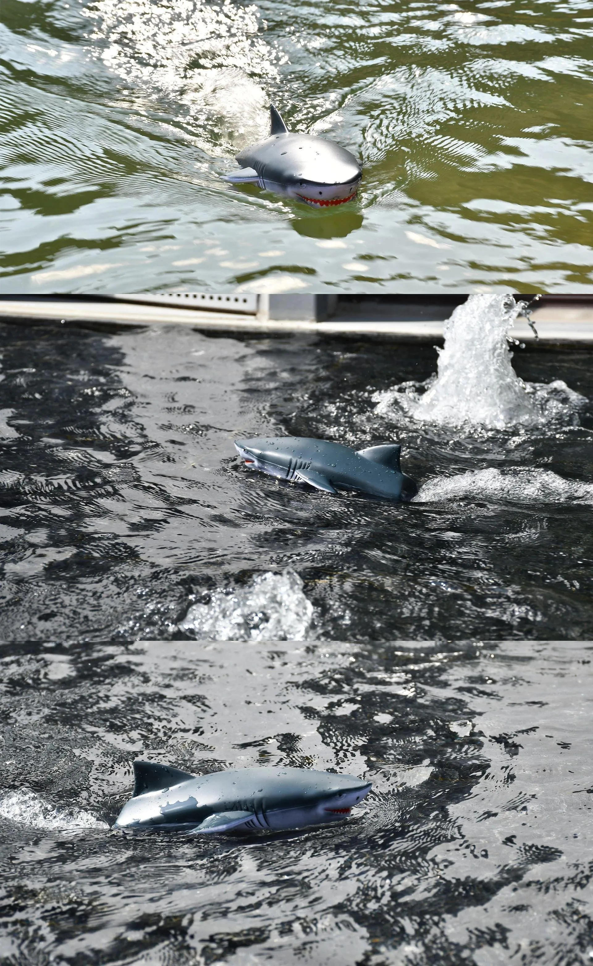 Shark Head 2-in-1 Remote Controlled RC Speed Boat