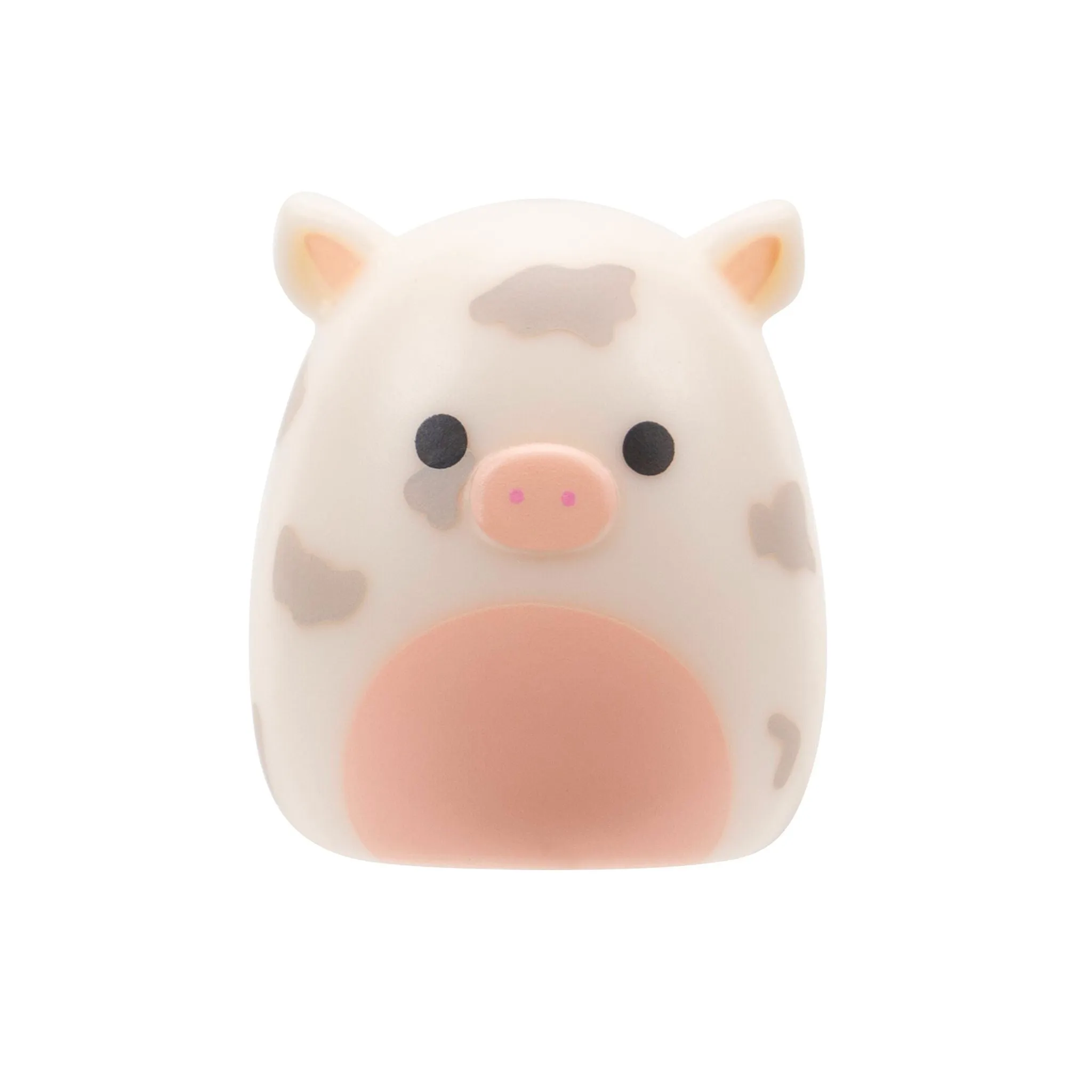 Squishalongs 2 Pack Blind Assortment