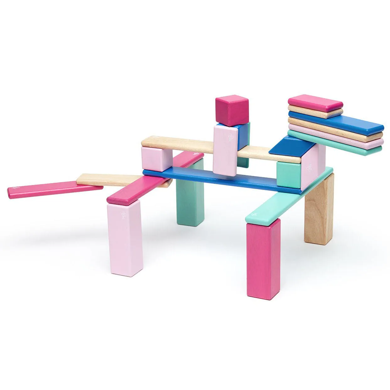 Tegu 24 Piece Set in Blossom
