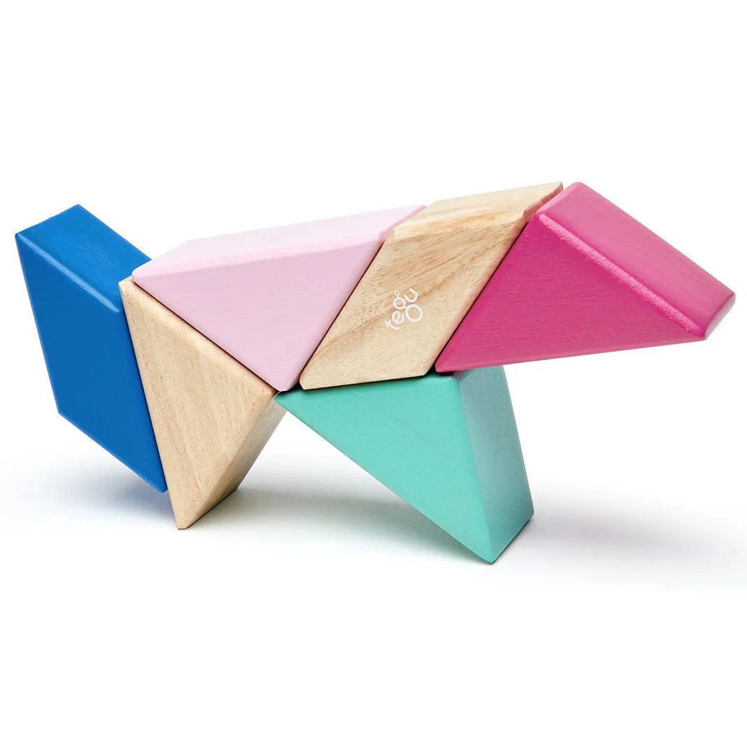 Tegu Prism Pocket Pouch in Blossom