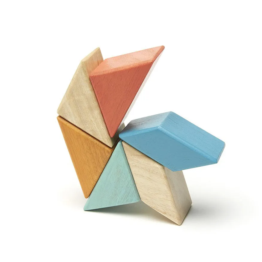 Tegu Sunset Prism Pocket Pouch