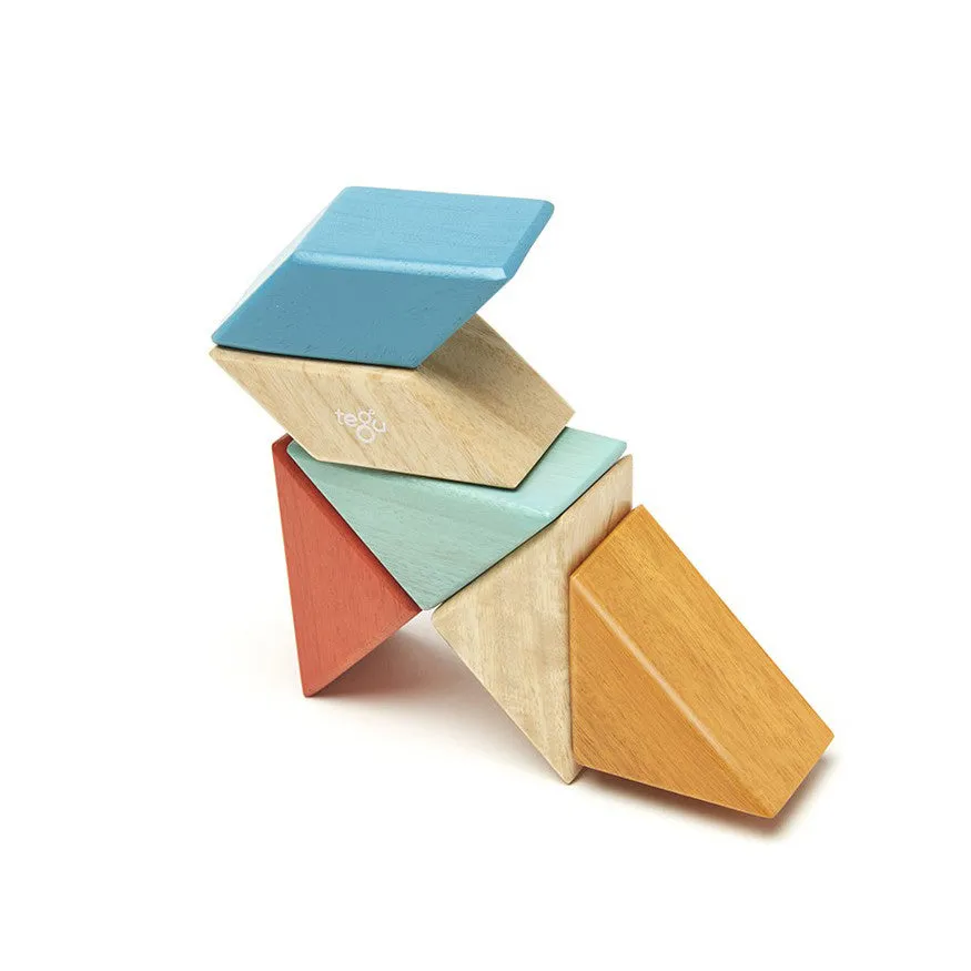 Tegu Sunset Prism Pocket Pouch