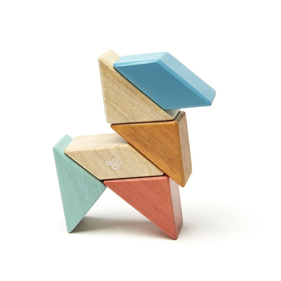Tegu Sunset Prism Pocket Pouch