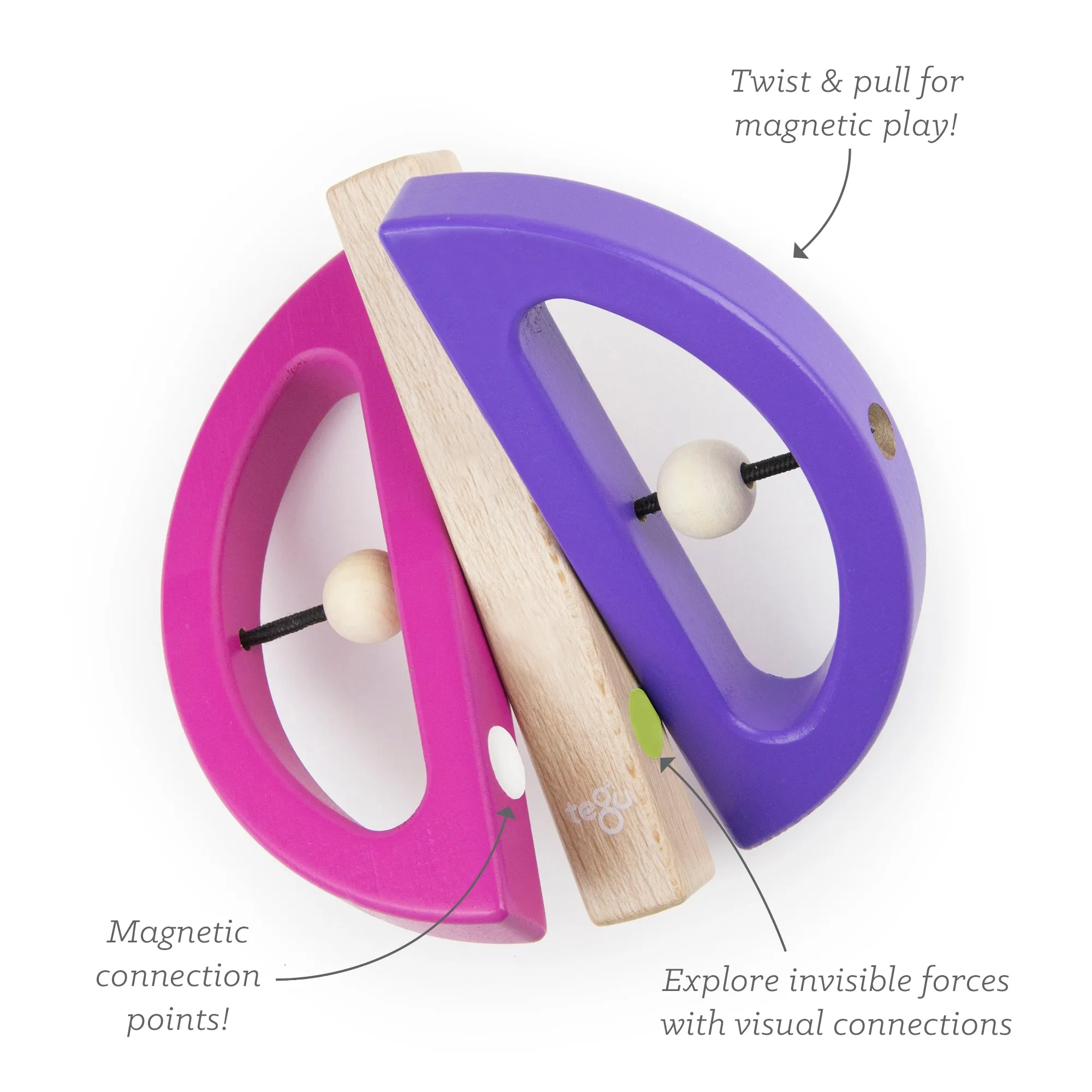 Tegu Swivel Bugs Pink & Purple Magnetic Wooden Blocks