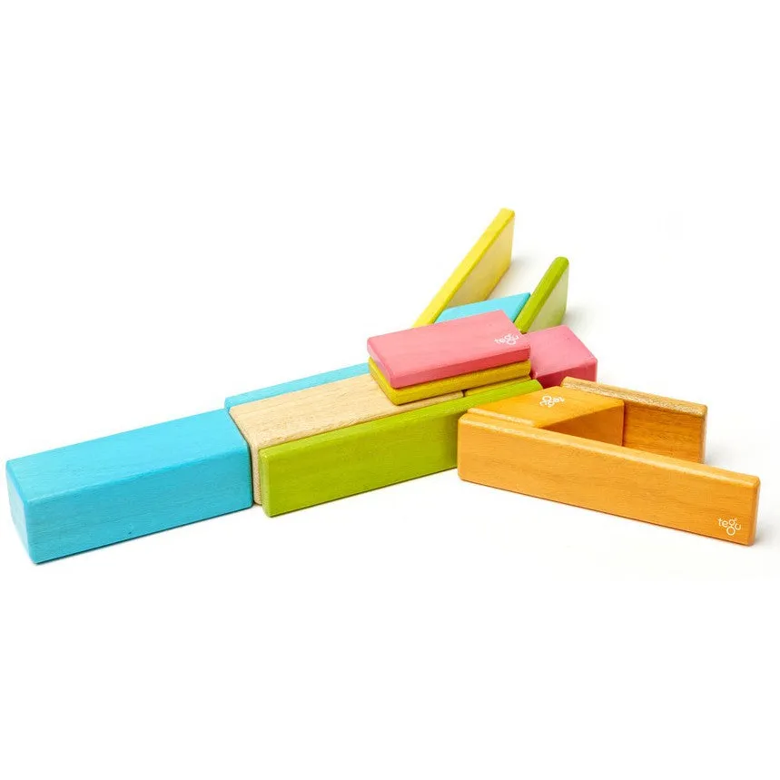 Tegu Tints Magnetic Wooden Block 14 Pieces