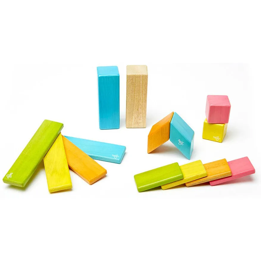 Tegu Tints Magnetic Wooden Block 14 Pieces